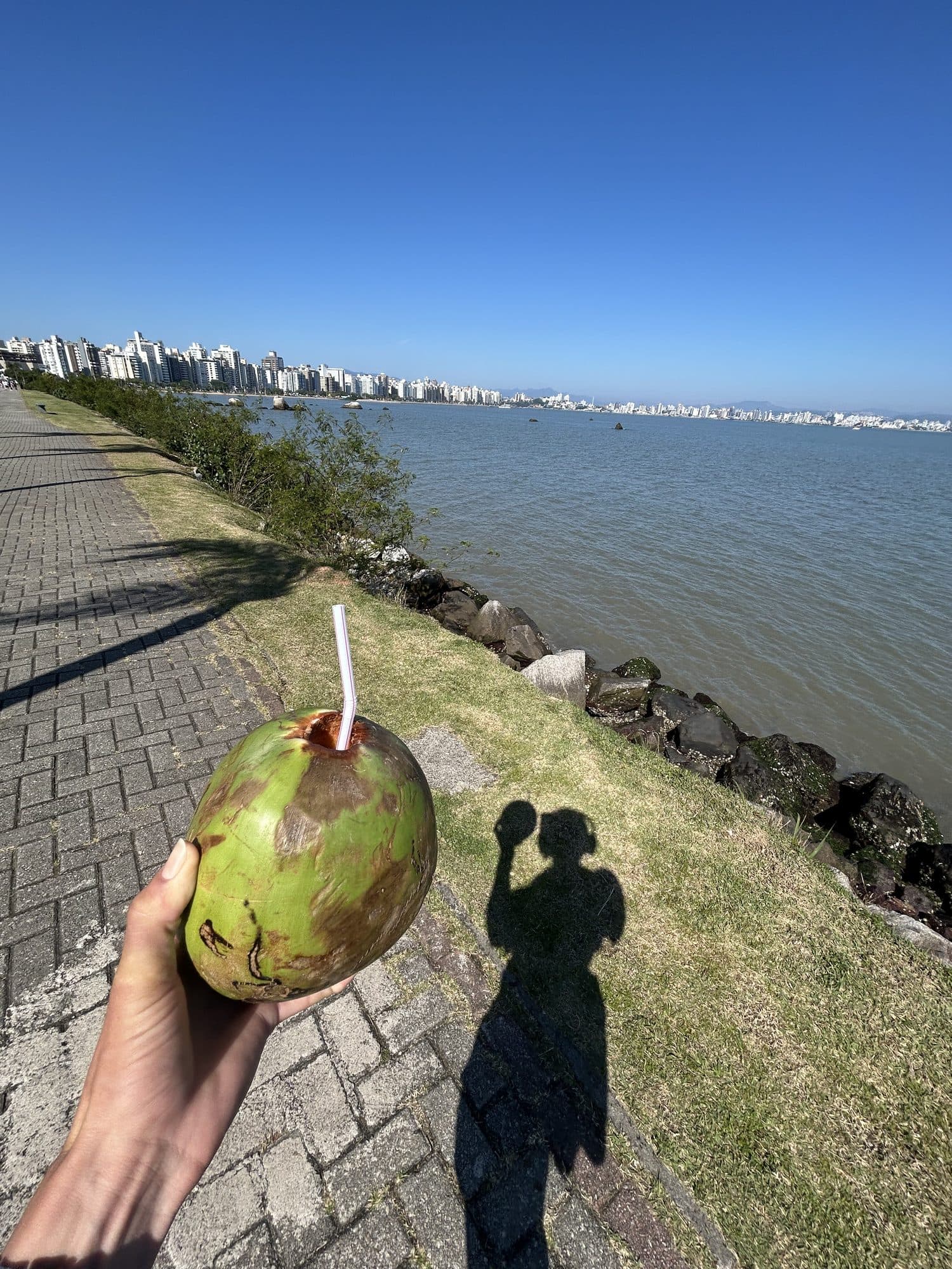 Mão segurando um coco verde na orla, com o mar e os prédios da cidade ao fundo.