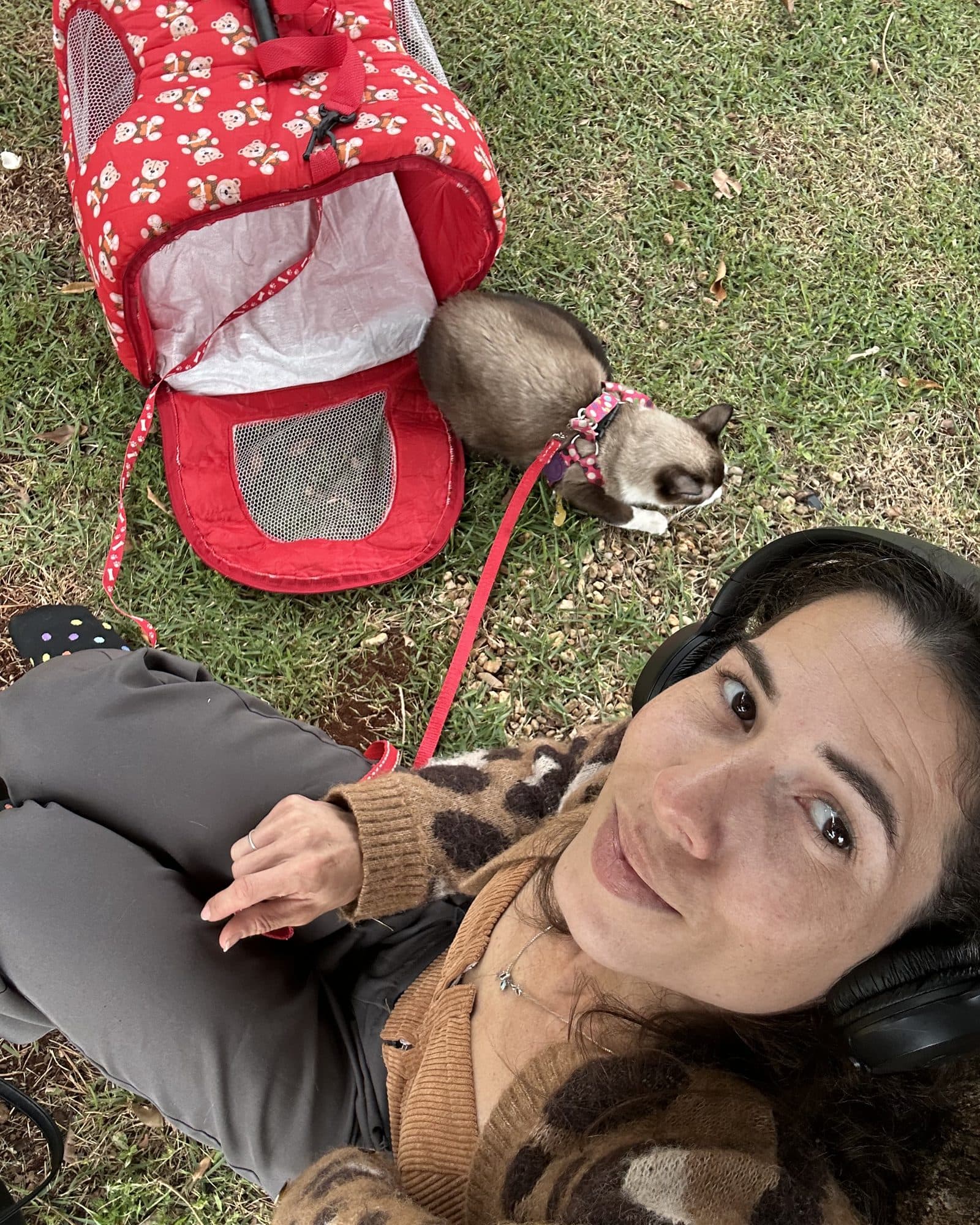 Camila deitada na grama sorri para a câmera; atrás, um gato siamês de coleira perto da caixa de transporte.